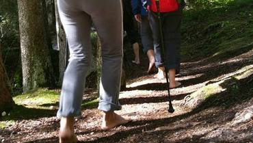 BAREFOOT EXPERIENCE - THE SENSORY FOREST