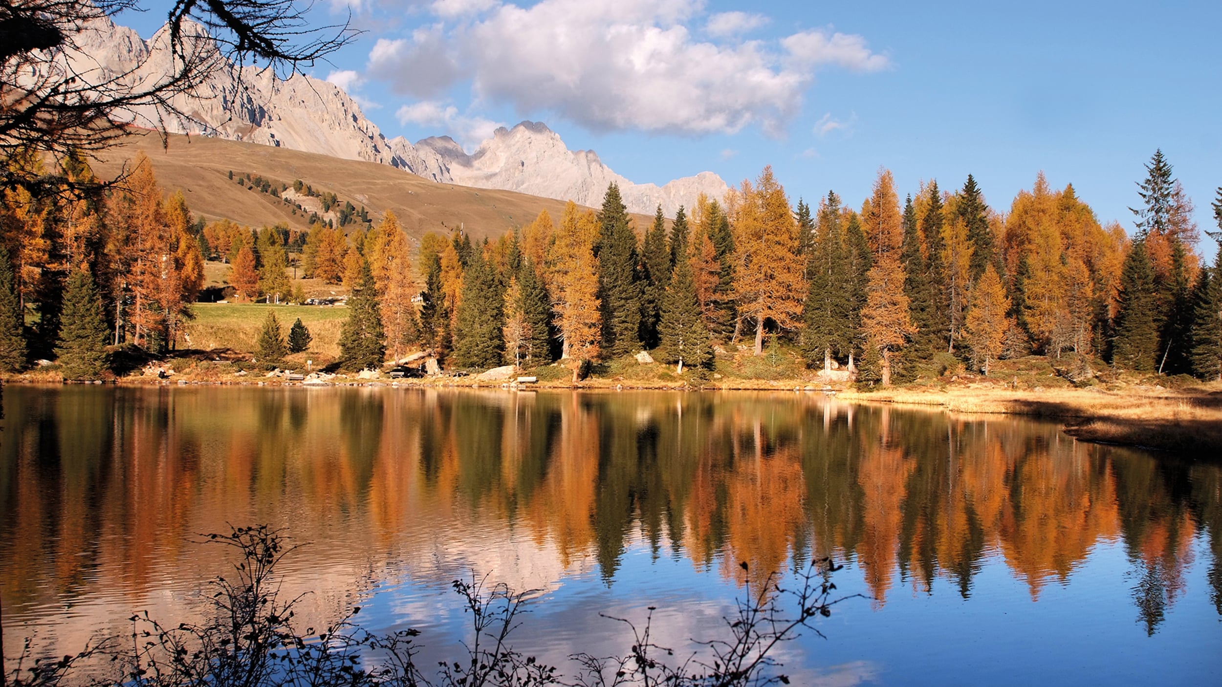 Dolomiti e natura