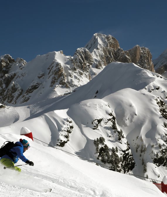 Freeriding