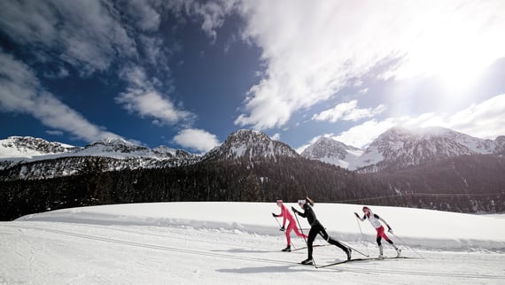 Ski Mountaineering & Cross-Country Skiing
