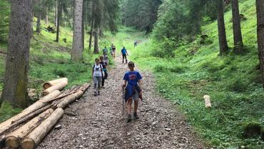 MOENA TREK - THE ENERGY OF THE FOREST