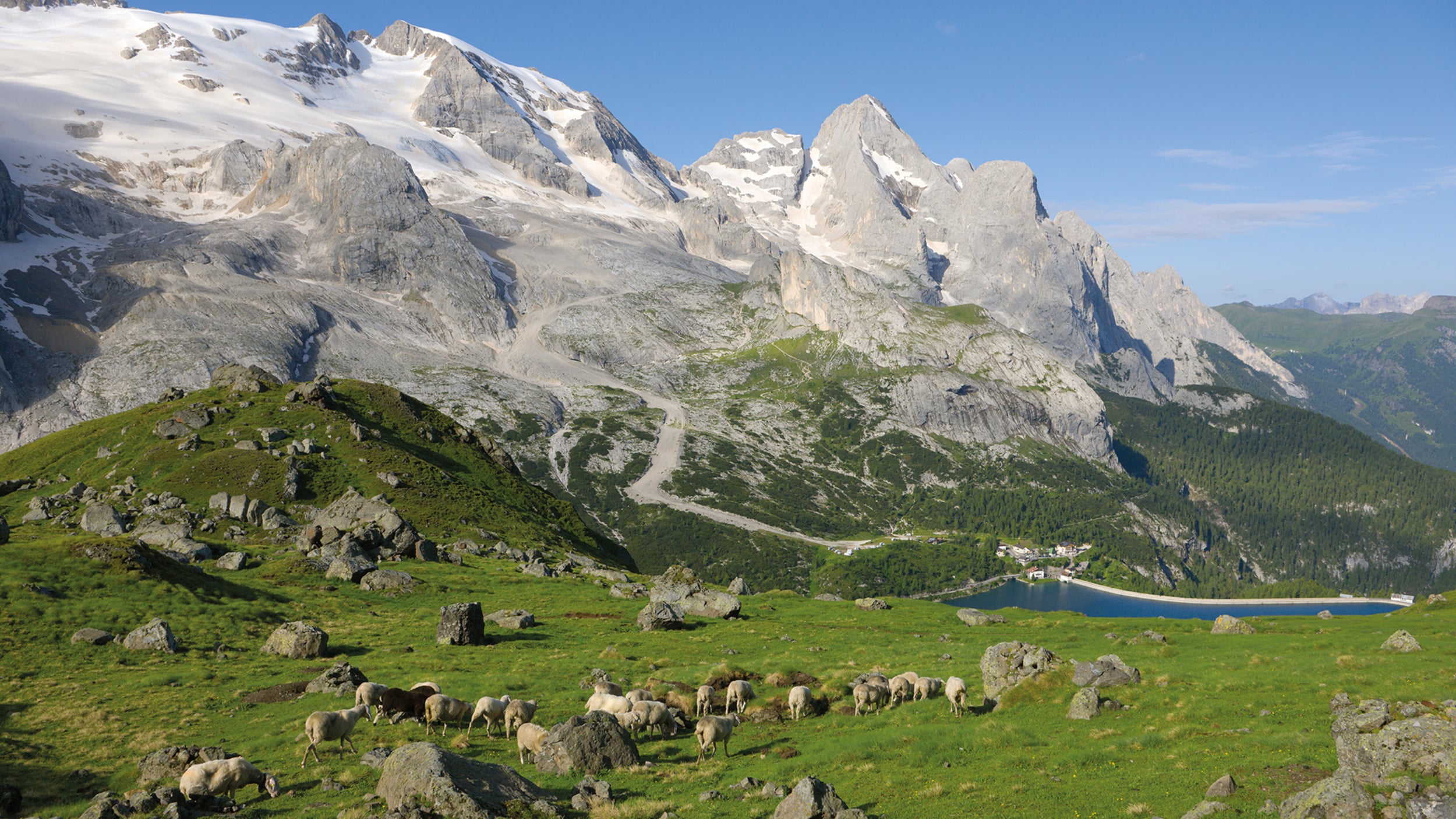 Dolomiti