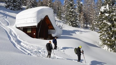 Introduction to Ski Mountaineering