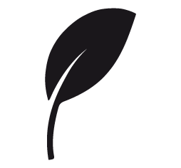 2.\tCucina per vegani a richiesta
